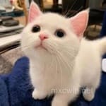 Avatar de José Manuel